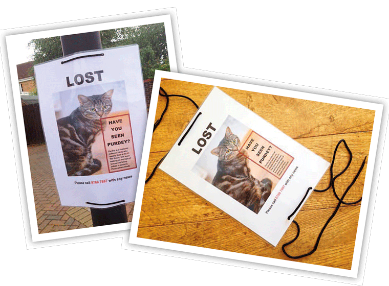 Lost Pet Sign