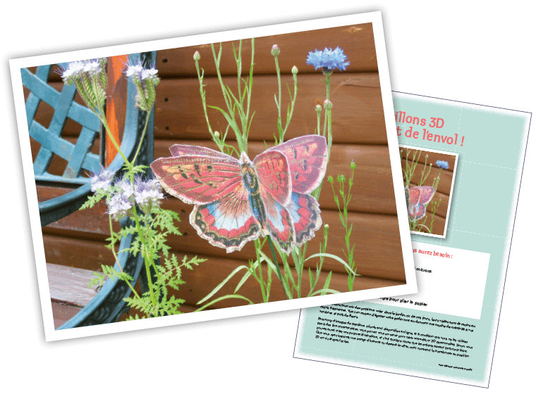 Papillons 3D