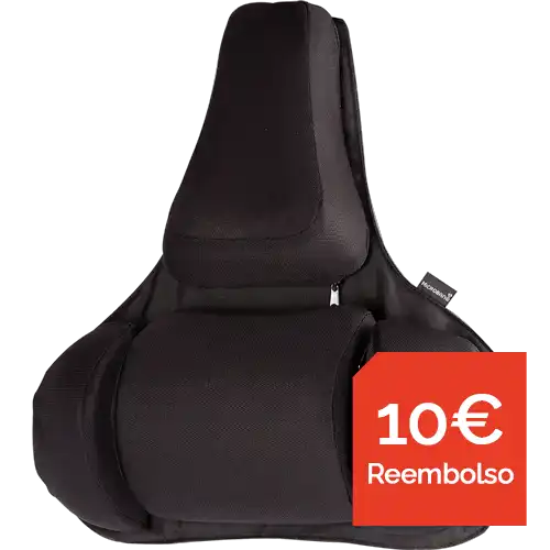 Respaldo lumbar ergonómico Professional Series