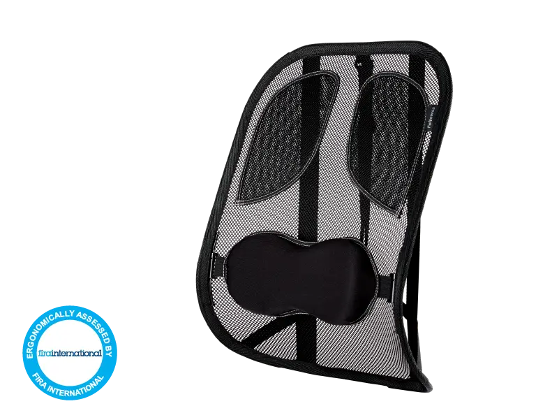 Professional Series Mesh Back Support