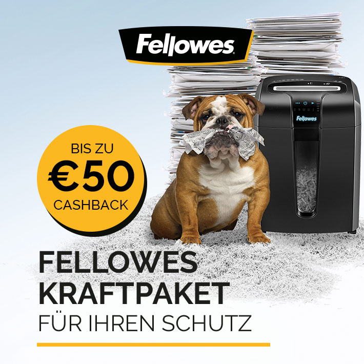 Fellowes