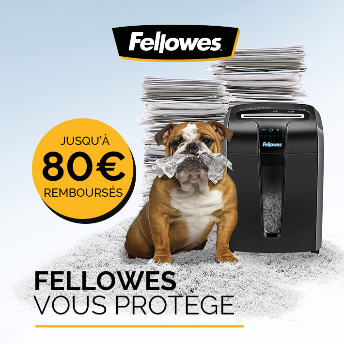 Fellowes